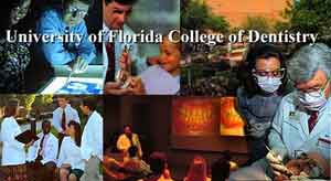 University of Florida - College of Dentistry