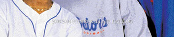 Section of Catalog Cover